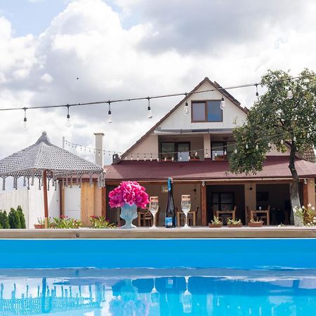 Отель Vila Crisalia Sibiel -Sibiu (Adults Only) Экстерьер фото