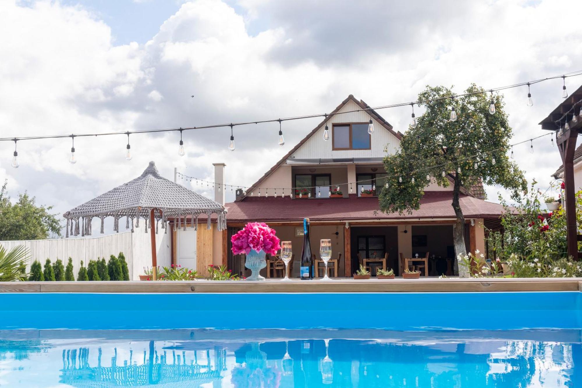 Отель Vila Crisalia Sibiel -Sibiu (Adults Only) Экстерьер фото